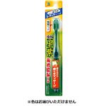 小林製薬 生葉 極幅ブラシ レギュラー ふつう 1本