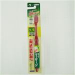 小林製薬 生葉 極幅ブラシ レギュラー やわらかめ 1本