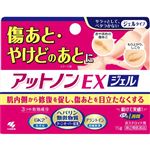 【第2類医薬品】小林製薬 アットノンEX ジェル 15g