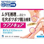 ◆ 【第2類医薬品】小林製薬 ケアノキュア 20g