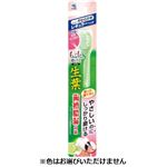 小林製薬 生葉 もふもふ磨けるブラシ レギュラー やわらかめ 1本