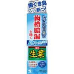 小林製薬 生葉ib 息スーッと実感 100g