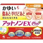 【第2類医薬品】小林製薬 アットノンEXk Plus 10g