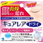 【第2類医薬品】小林製薬 キュアレアドライ 8g
