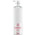 P＆G 深ヘッドスパ by h＆s アドバンスドエイジングケア トリートメント ポンプ 435g