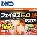 ◆ 【第2類医薬品】久光製薬 フェイタス5.0温感大判サイズ 10枚