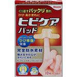 池田模範堂 ヒビケアパッド 10枚入