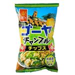 南風堂 ゴーヤーチャンプルーチップス 60g