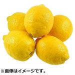 アメリカ産などの国外産 レモン（増量）（5個入り）1袋