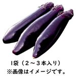 宮崎・熊本県産などの国内産 なす（袋）1袋