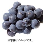 【9／19（火）～9／20（水）配送限定】福岡・山梨県などの国内産 巨峰 1パック