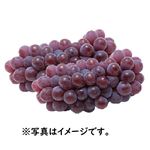福岡県産などの国内産 ハウスデラウエア 1パック