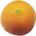 アメリカ産などの国外産 ネーブルオレンジ（袋）（5P）1袋