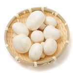 岡山県産などの国内産 ホワイトマッシュルーム 1パック