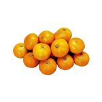 【旧盆お供え予約】【9／2（火）9／3（水）配送限定】 ハウスみかん 270g 佐賀県産などの国内産 1パック