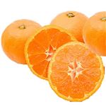 【11／7（金）～11／10（月）配送限定】愛媛県産などの国内産 愛媛みかん 1袋