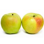 長野県産などの国内産 名月りんご（2P）1パック