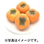 【11／7（金）～11／10（月）配送限定】和歌山県産などの国内産 たねなし柿4玉パック 1パック