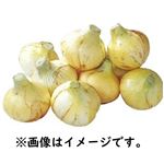 熊本・佐賀県産などの国内産 新玉ねぎ（ネット）1ネット