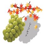 【秋のご予約会】国産 旬のぶどう食べ比べセット（シャインマスカット＋シークレット品種）