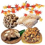 【秋のご予約会】国内産きのこセット（10個入り）