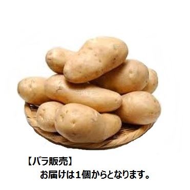 おうちでイオン イオンネットスーパー 北海道などの国内産 じゃがいも 1個 おうちでイオン イオンネットスーパー 北海道などの国内産 じゃがいも 1個