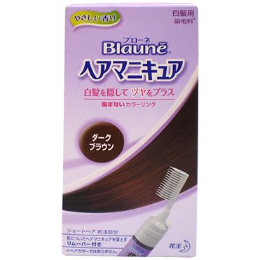 おうちでイオン イオンネットスーパー 花王 ブローネ ヘアマニキュア おうちでイオン イオンネットスーパー 花王 ブローネ ヘアマニキュア