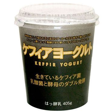 おうちでイオン イオンネットスーパー タカハシ乳業 ケフィアヨーグルト 405g