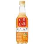 【9／2・3配送分】サントリー 薬膳好日 ジンジャー＆ソーダ 390ml ★新商品