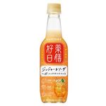 【9／2～3配送分】サントリーフーズ 薬膳好日 ジンジャー＆ソーダ【新商品】 390ml