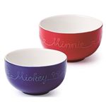 ◆シール9枚集めて◆（6）MEYER 2ピースセット ボウル スモール