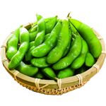 【7／5・6配送分】トップバリュ塩茹で枝豆100g（100g当り本体138円）1パック※14時便以降の配送になります
