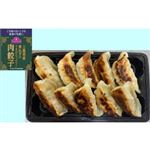 【11／8・9配送分】トップバリュ三重県産青ねぎのうまみたっぷり！肉餃子10個入