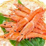 【9／13-15配送分】有頭赤えび生食用（解凍）5尾入（アルゼンチン産）