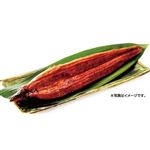 国産 うなぎ蒲焼 1尾