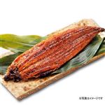 【6／17（火）配送分】うなぎ蒲焼（特大）1尾（原料原産地：国内産）