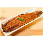 【7／19（土）配送分】【杉山商店】 手焼き炭火焼きうなぎ蒲焼 1尾【原料原産地：愛知県三河】