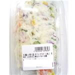 9種の野菜ポテトサラダ（大）