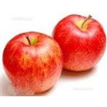 【12／13（土）配送分】糖度選別葉とらず太陽りんご（サンふじ）2個入・1パック（青森県産）