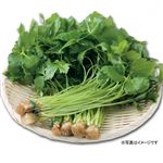 みつば 1袋（三重・愛知県などの国内産）