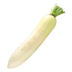 ★11／7（金）配送分★大根  1本（北海道・青森・岐阜県等の国内産）