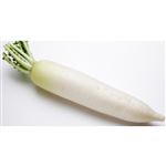 【12／2・3配送分】だいこん1本（新潟・千葉・愛知県産）