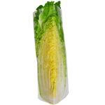 ★11／7（金）配送分★はくさい 1／4  1カット（茨城・長野県等の国内産）