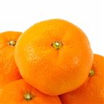 【11／18（火）配送分】静岡県産他 みかん Mサイズ 1個