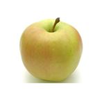 【11／4（火）配送分】青森県産 りんご（トキ）Sサイズ 1個