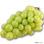 【11／11（火）配送分】長野県産 ぶどう（シャインマスカット）1パック