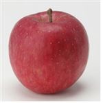 【11／1（土）配送分】早生ふじりんご（夢ひかり）1個（青森県産）