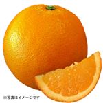 【8／9（火）配送分】ネーブルオレンジ 1個（オーストラリア産）