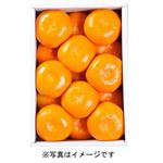 【8／9～15配送分】静岡県産 ハウスみかん化粧箱 1.2kg入 1箱