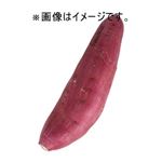 【10／10～13配送分】茨城県産他 さつまいも Lサイズ 1本